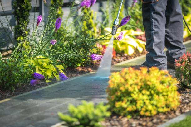 Best Sidewalk and Walkway Pressure Cleaning in Santa Rita Ranch, TX