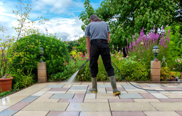 Best Soft Washing for Delicate Surfaces in Santa Rita Ranch, TX